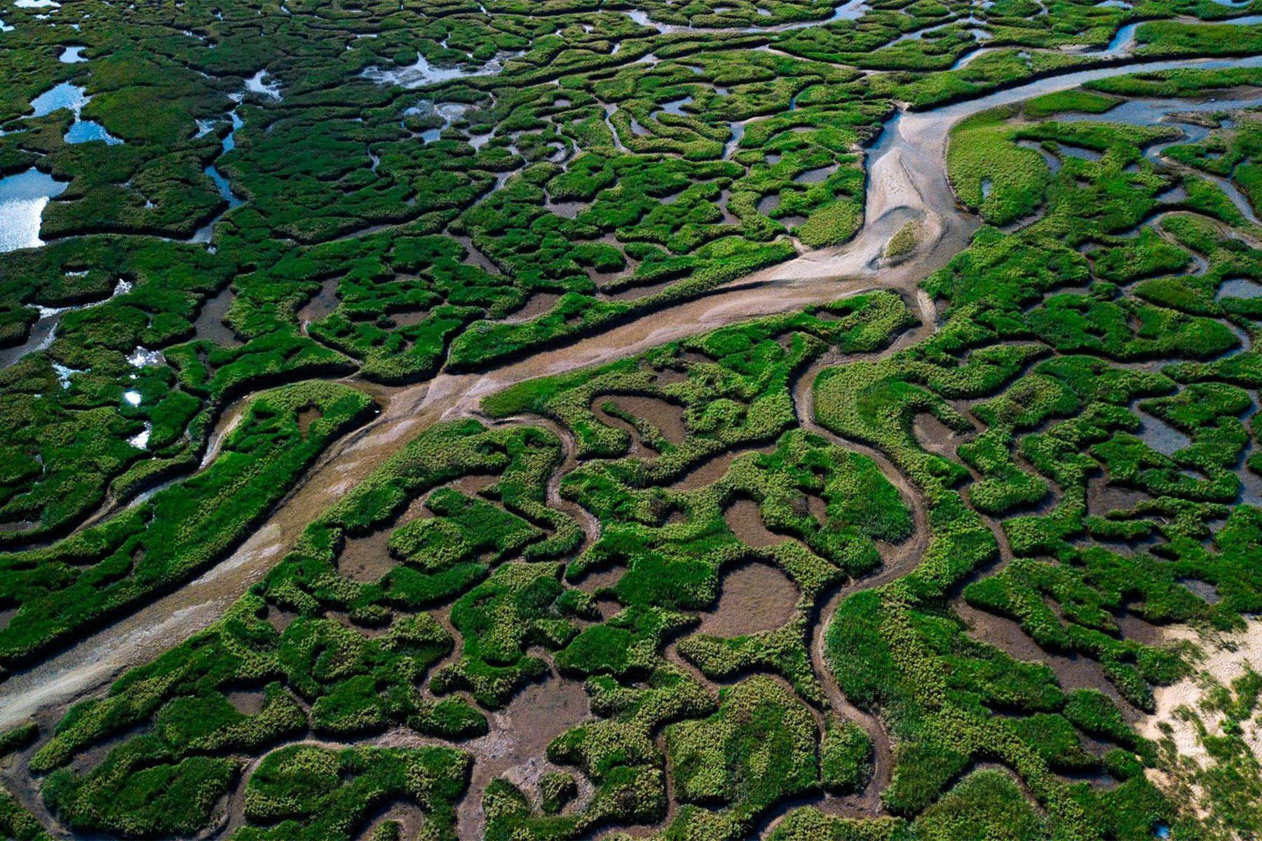 aerial view of tidal salt marsh in Norfolk, by Ian Finch