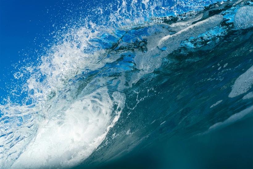 Ocean Literacy & Surfing
