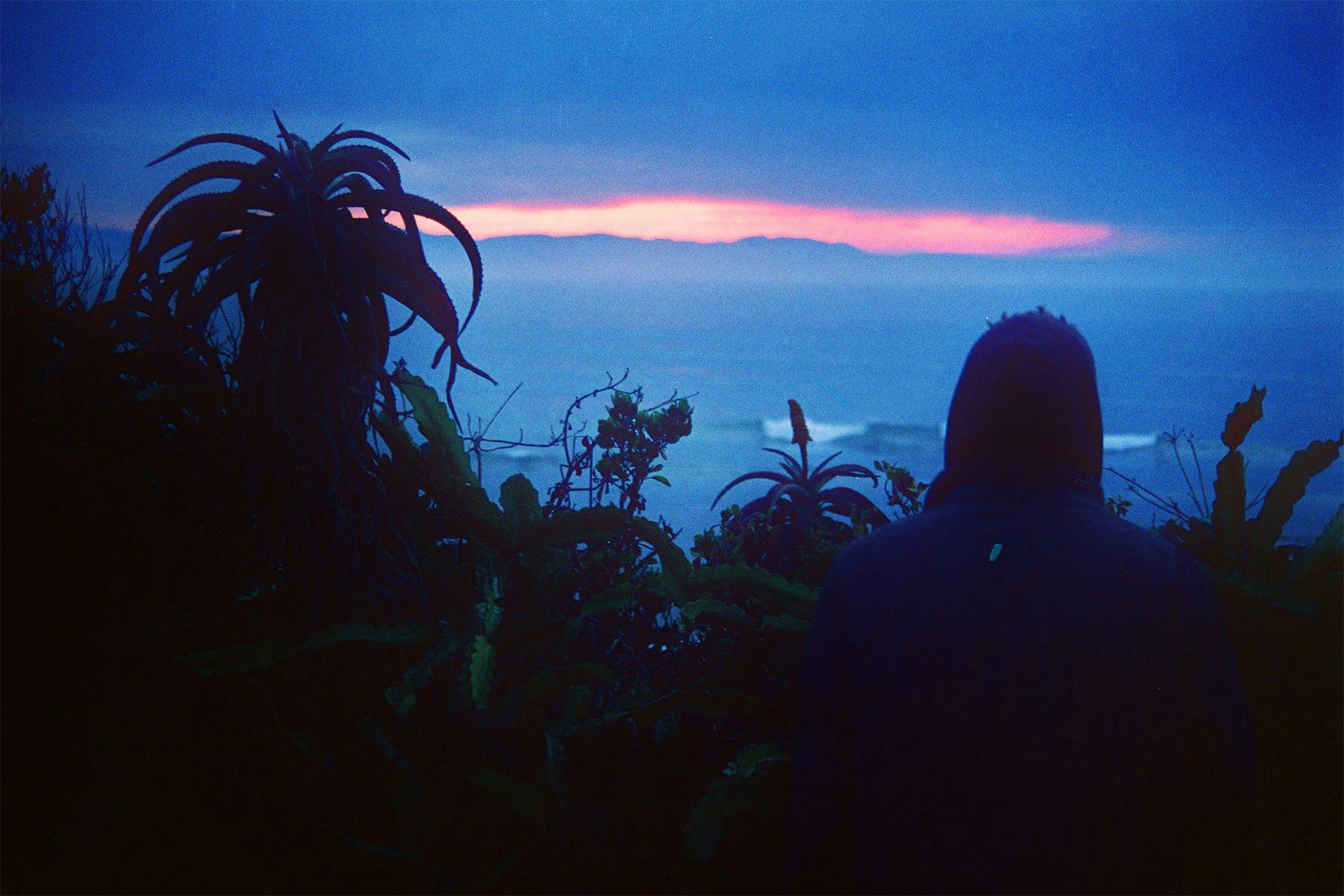 silhouette of a surfer watching waves at dawn through the aloe plants in south afrcia