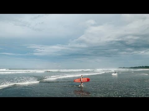 Last Week at Surf Simply