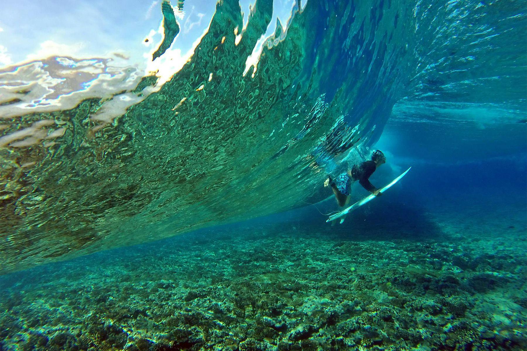 surfer duckciving a wave over coral reef in tahiti by nick stokes