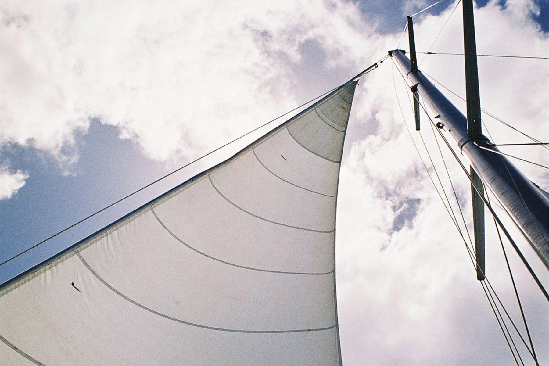 looking up at the sail of a yacht to see the telltales