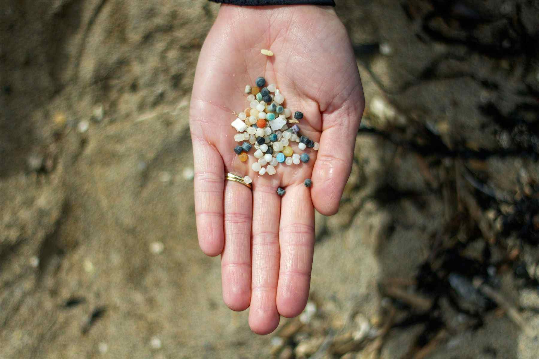 a handful of plastic nurdles collecting from a beach